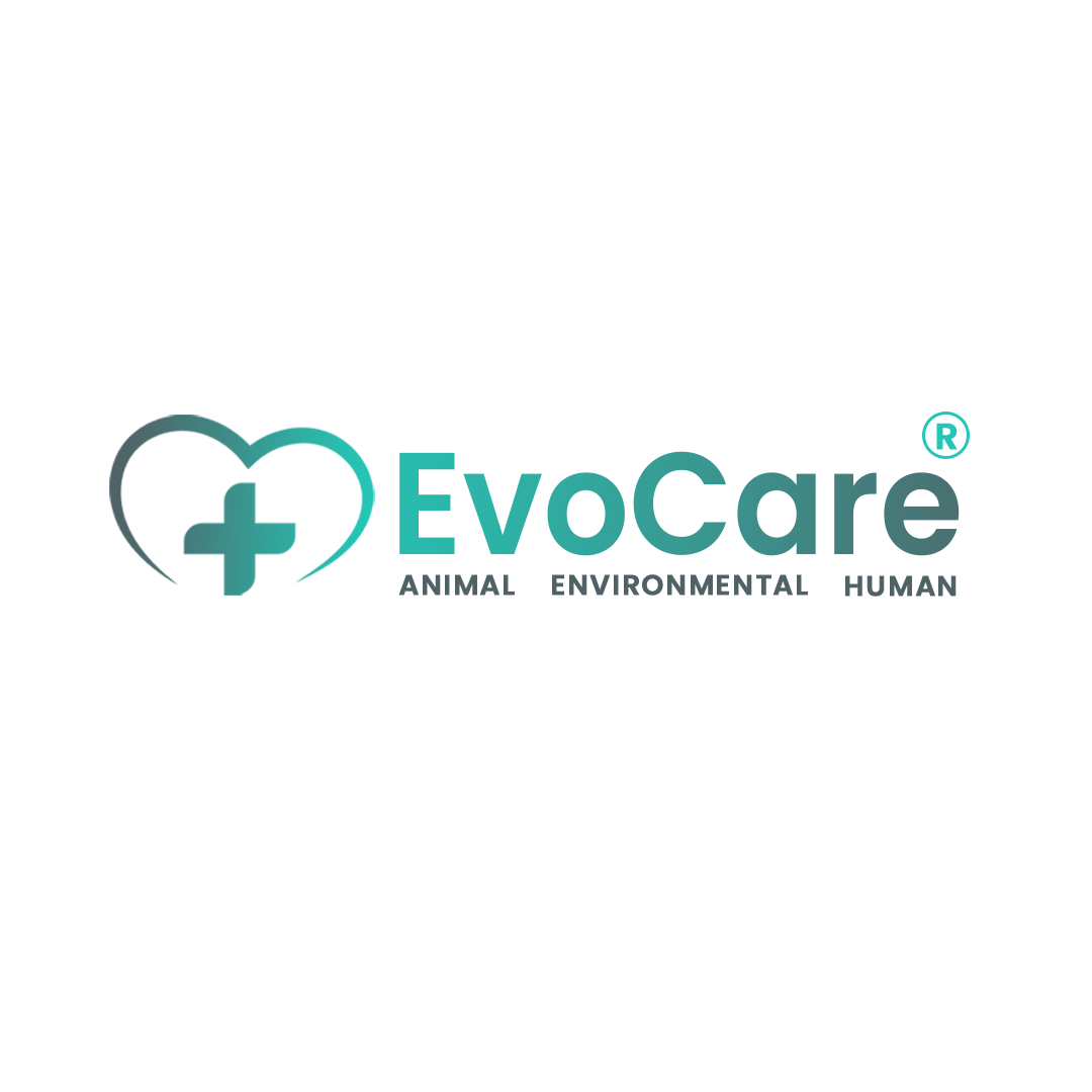 logo-2